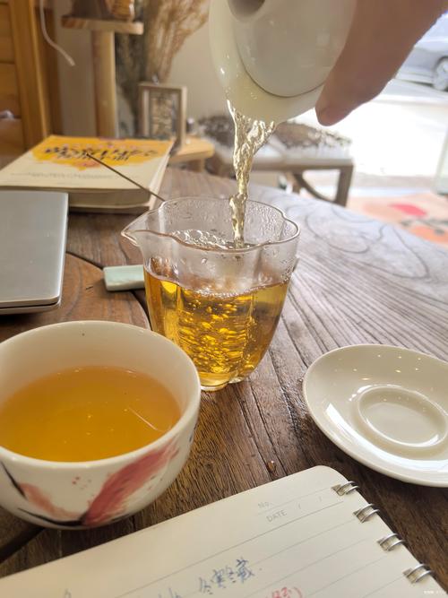 秋到龙城茶座